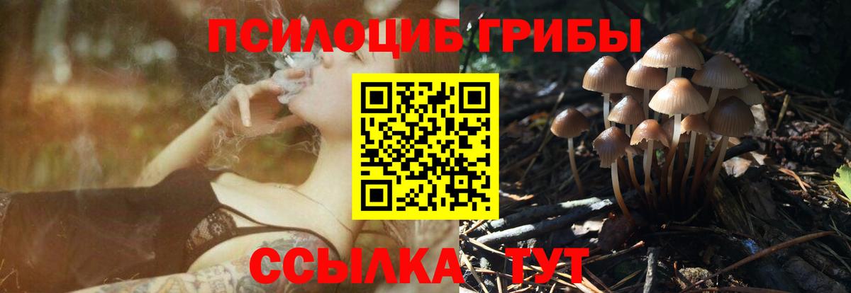Галлюциногенные грибы Psilocybe Черногорск